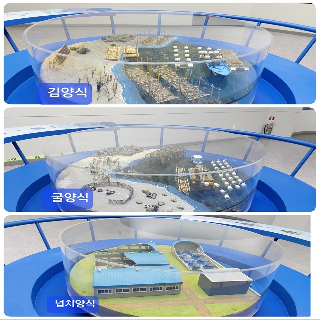 굴 김, 넙치양식